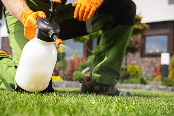 Best Ant Control Services  in Vernonia, OR